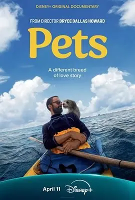 《宠 Pets》：冷血的“罪与罚”，揭露残酷真相，这纪录片我不敢看第二遍！